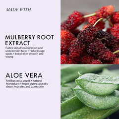 Mulberry Face Wash For Fresh & Supple Skin  (100 ML)